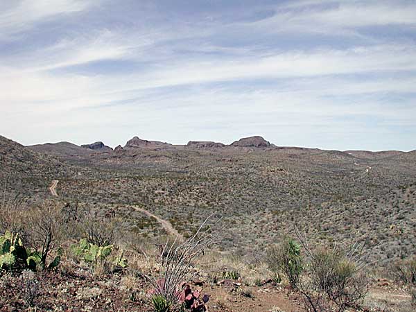 Chihuahuan desert